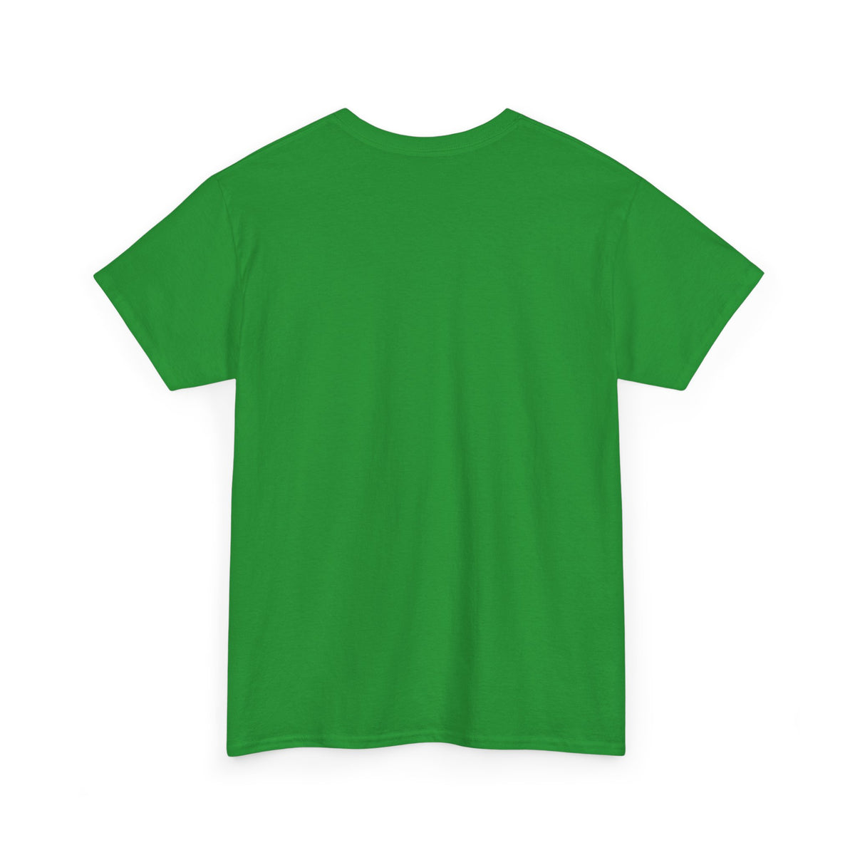 Mexico Te Llevo En Mi Corazón T-Shirt