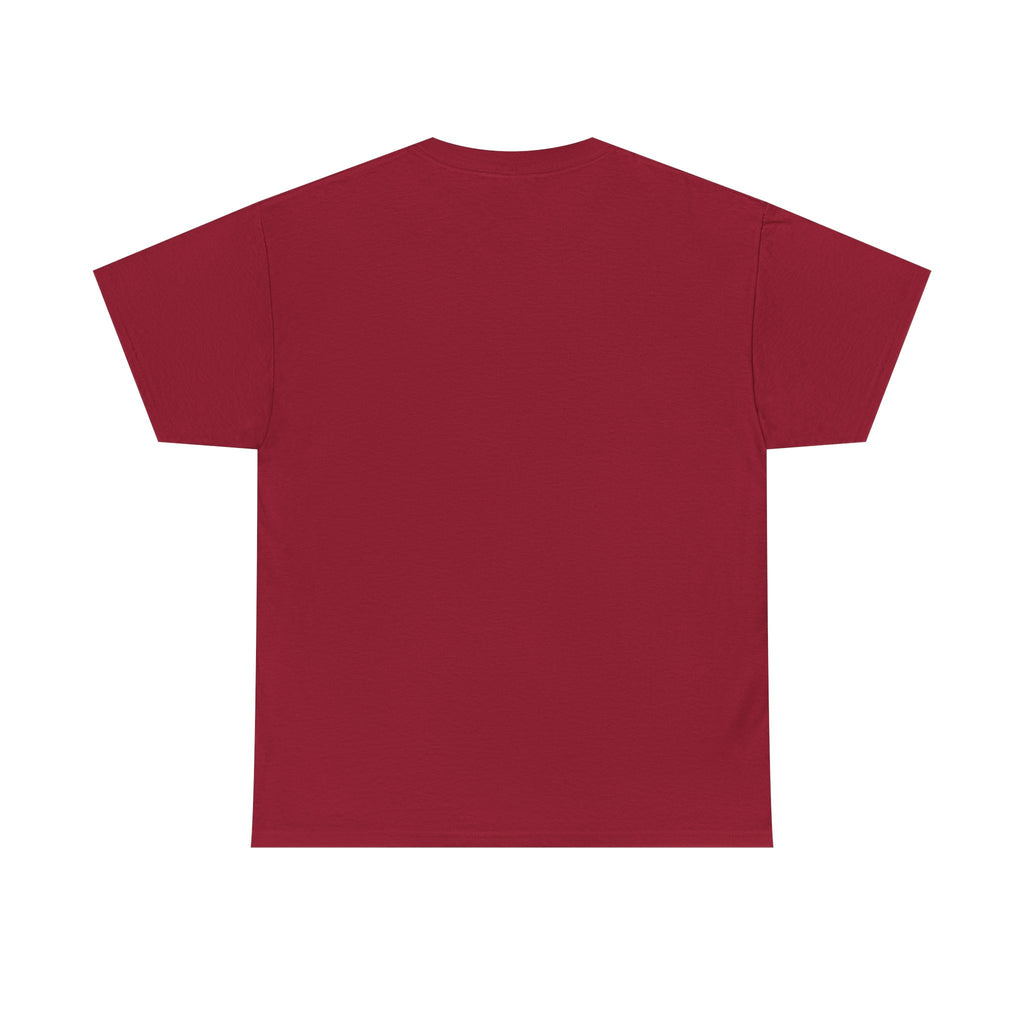Mexico Te Llevo En Mi Corazón T-Shirt