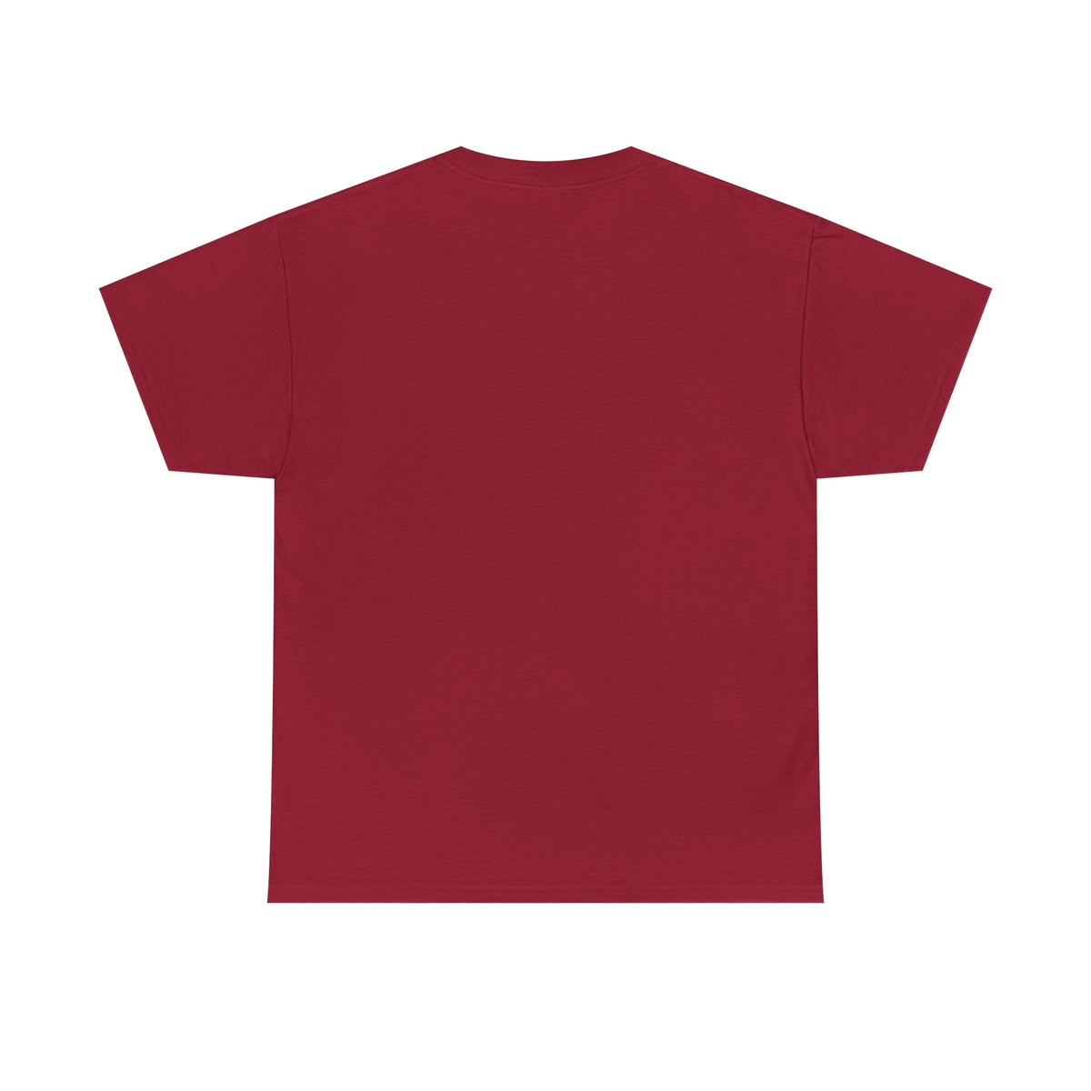 Mexico Te Llevo En Mi Corazón T-Shirt