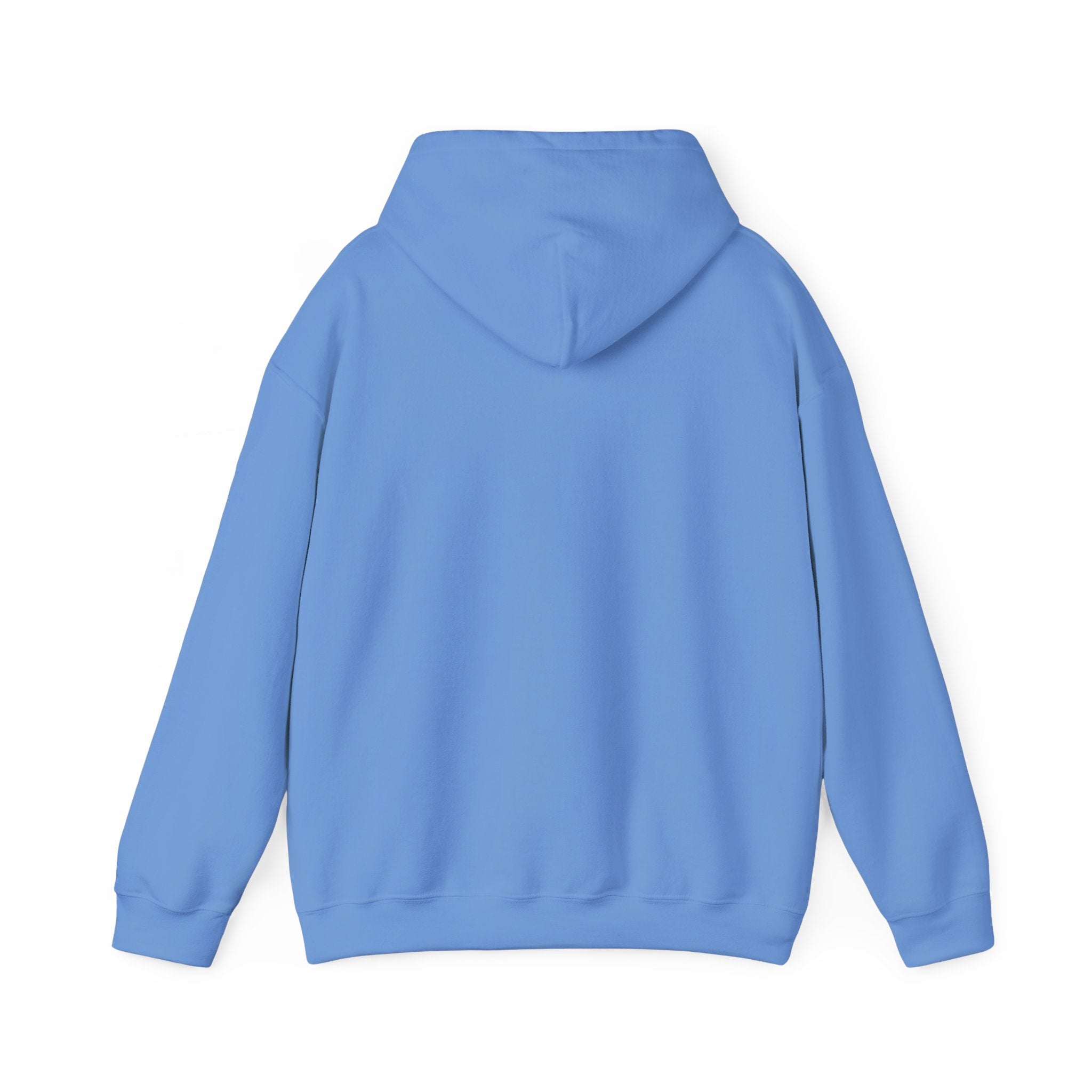 Minimal Snail Hoodie — Cute Tiny Snail Graphic Sweatshirt