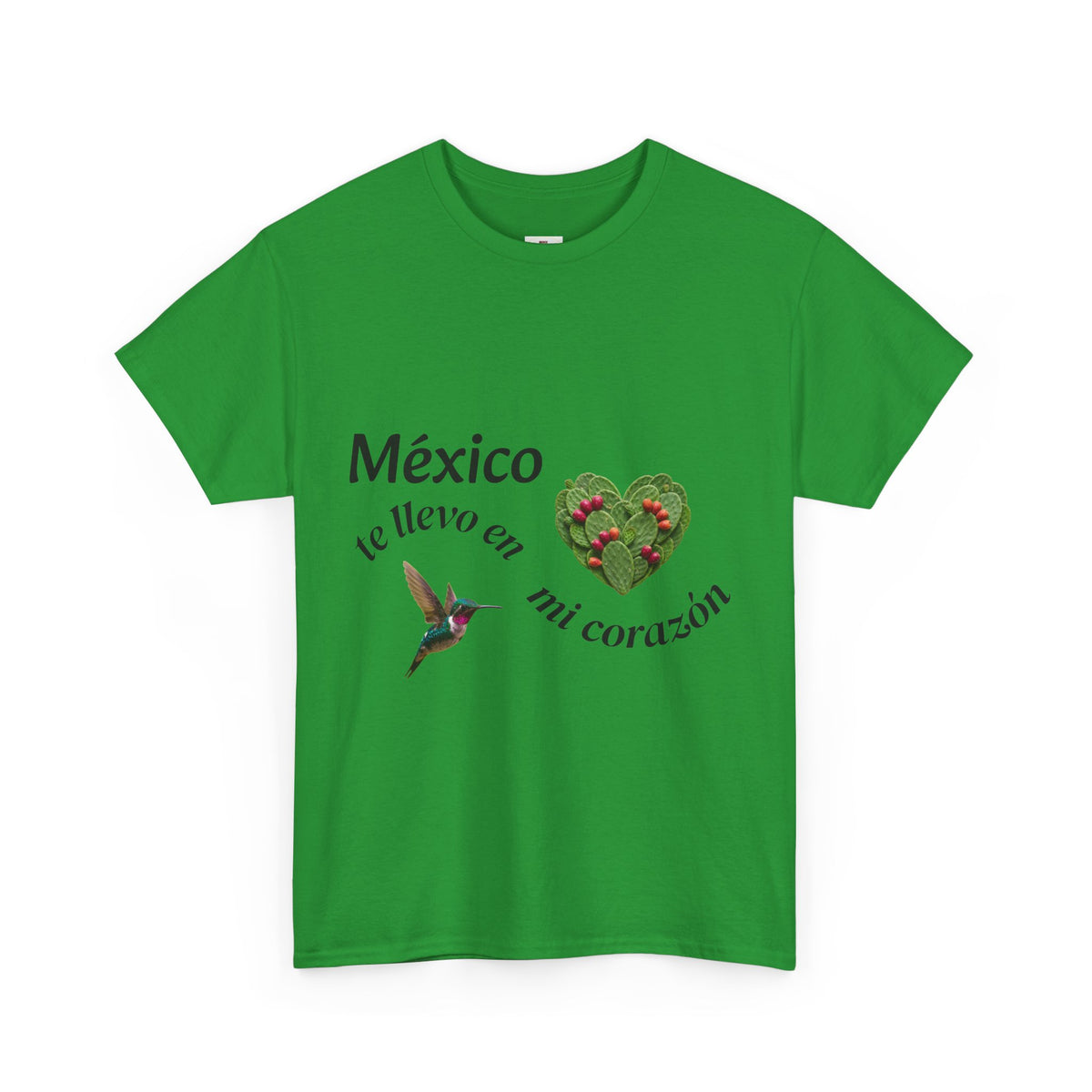Mexico Te Llevo En Mi Corazón T-Shirt
