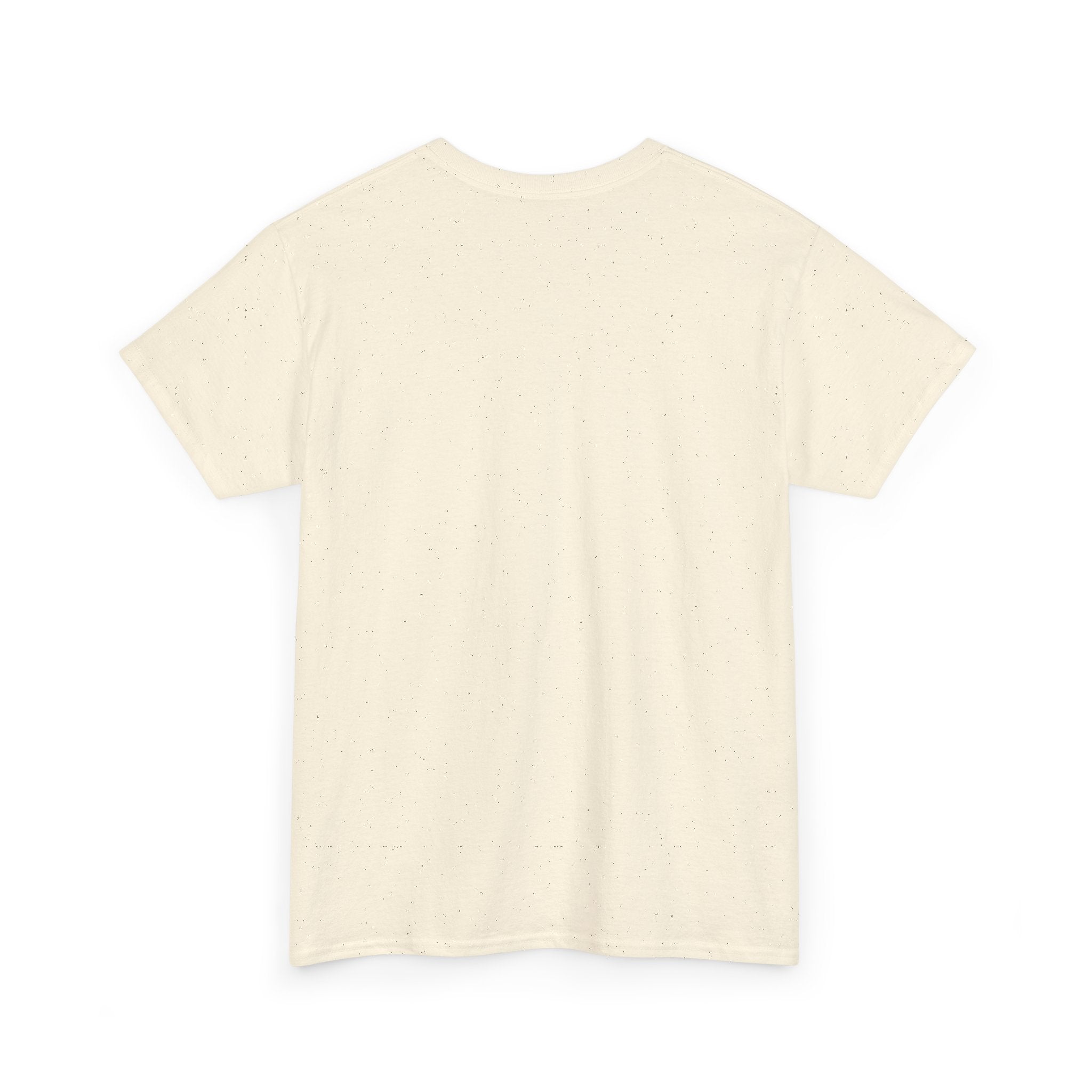 Mexico Te Llevo En Mi Corazón T-Shirt