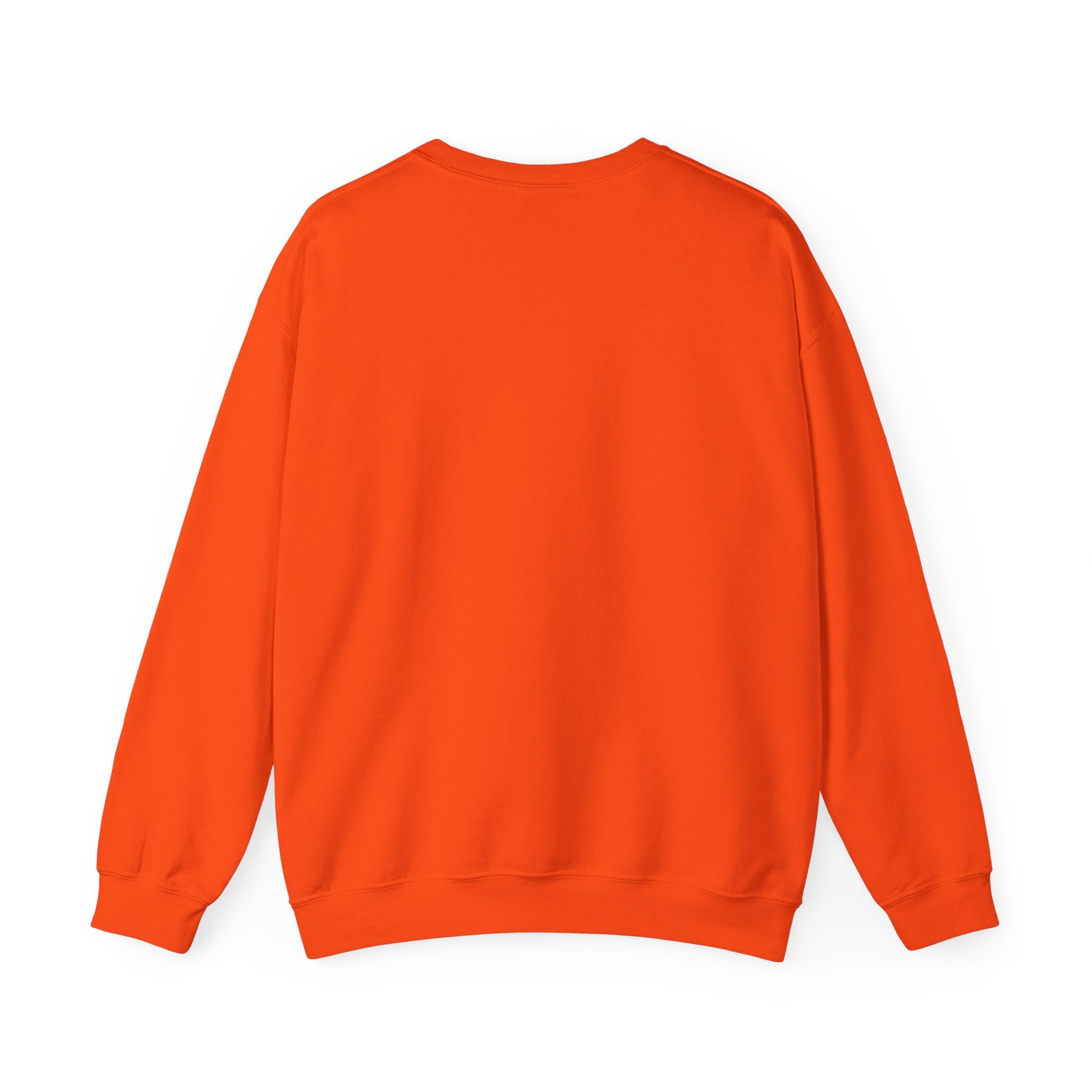Crewneck Sweatshirt — "Con determinación" Earth & Sloth Eco Graphic