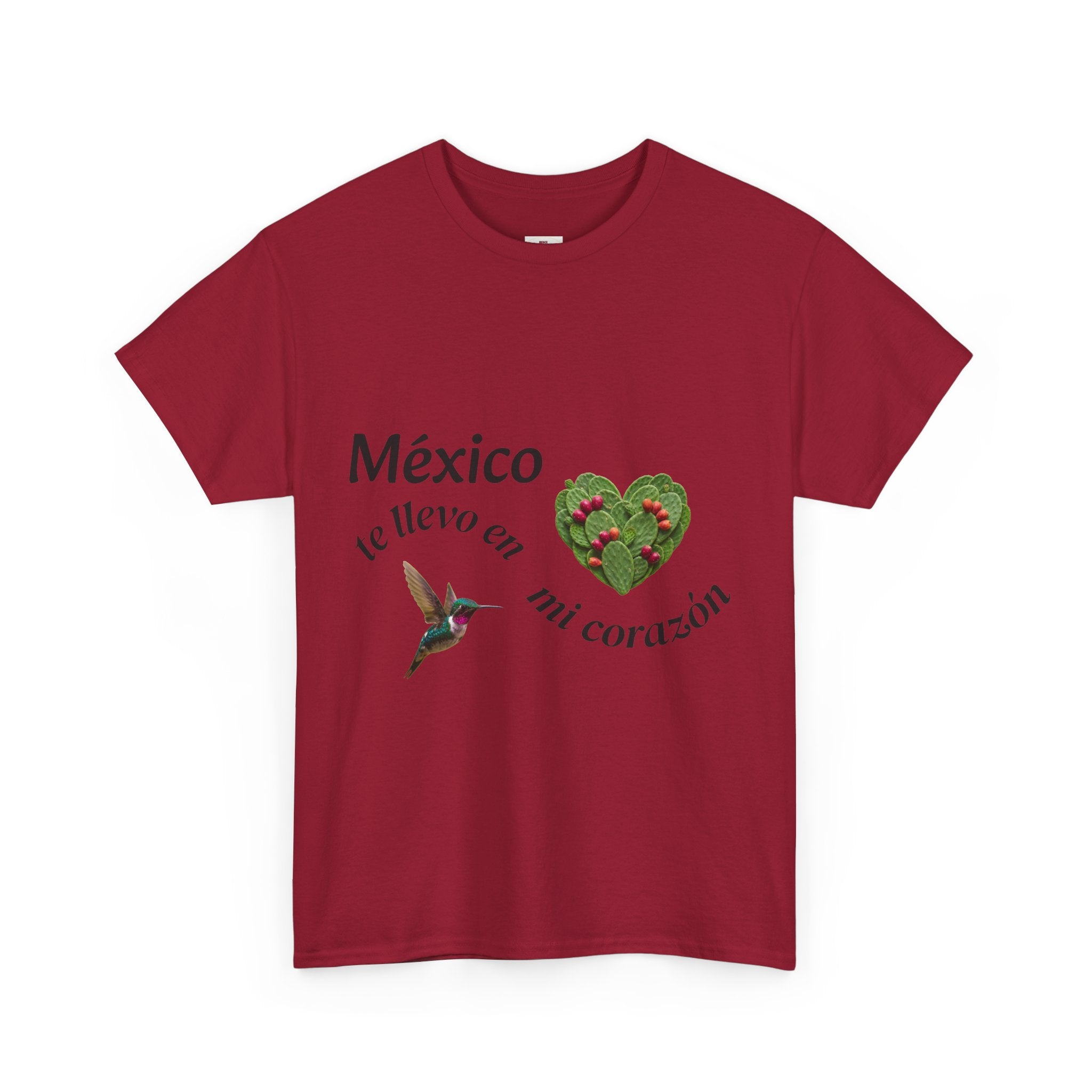 Mexico Te Llevo En Mi Corazón T-Shirt
