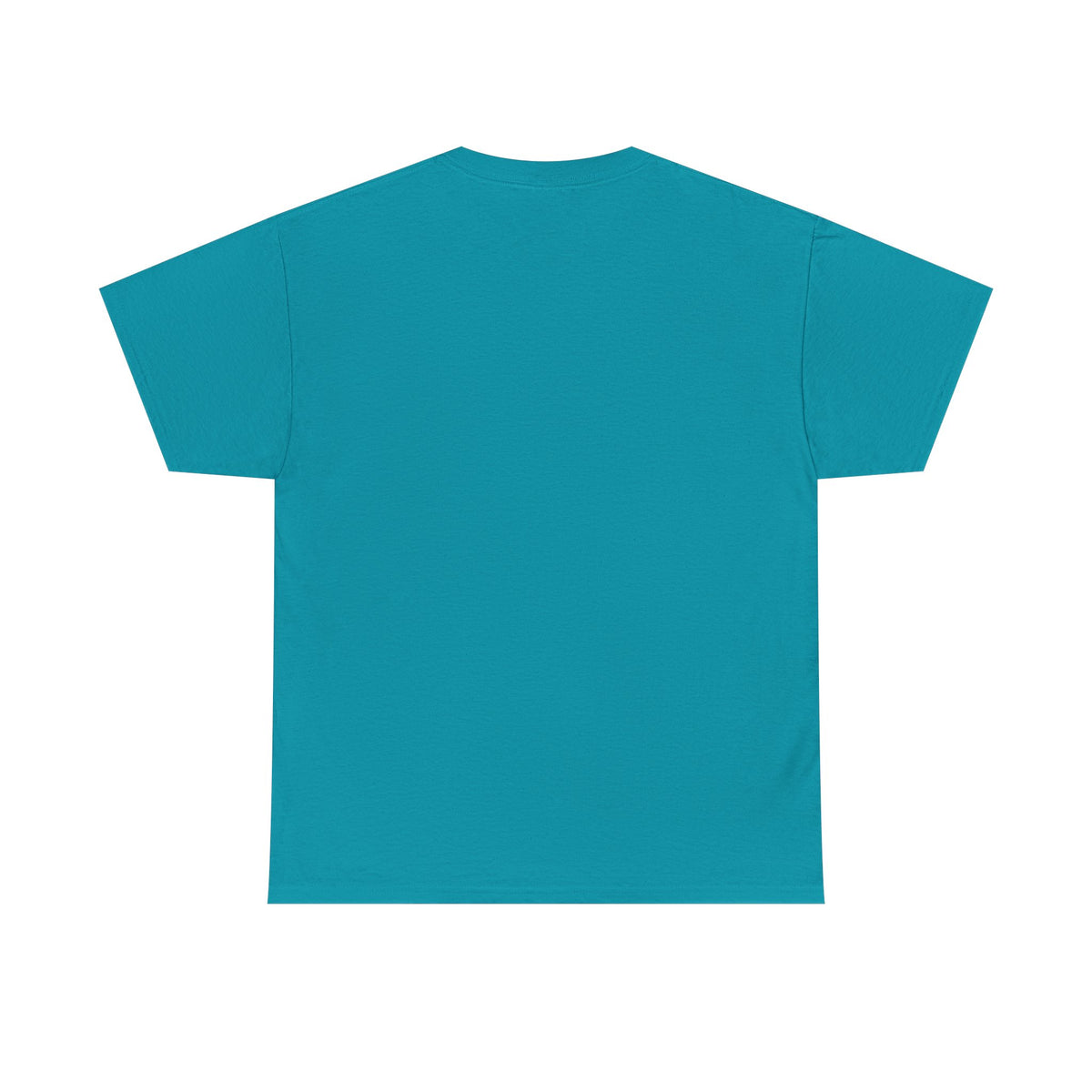 Mexico Te Llevo En Mi Corazón T-Shirt