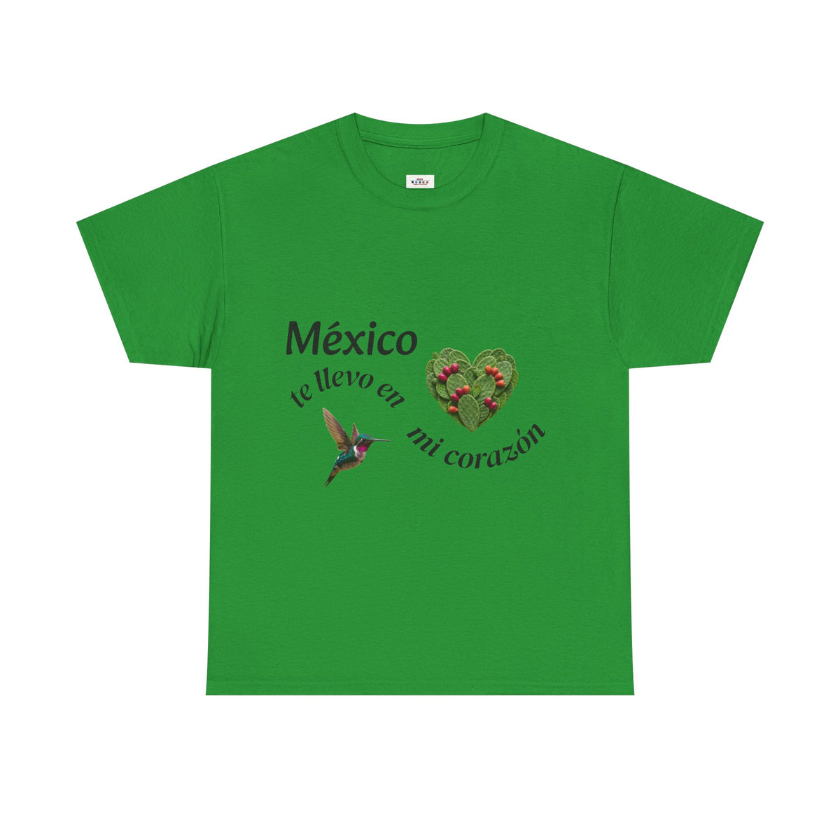 Mexico Te Llevo En Mi Corazón T-Shirt