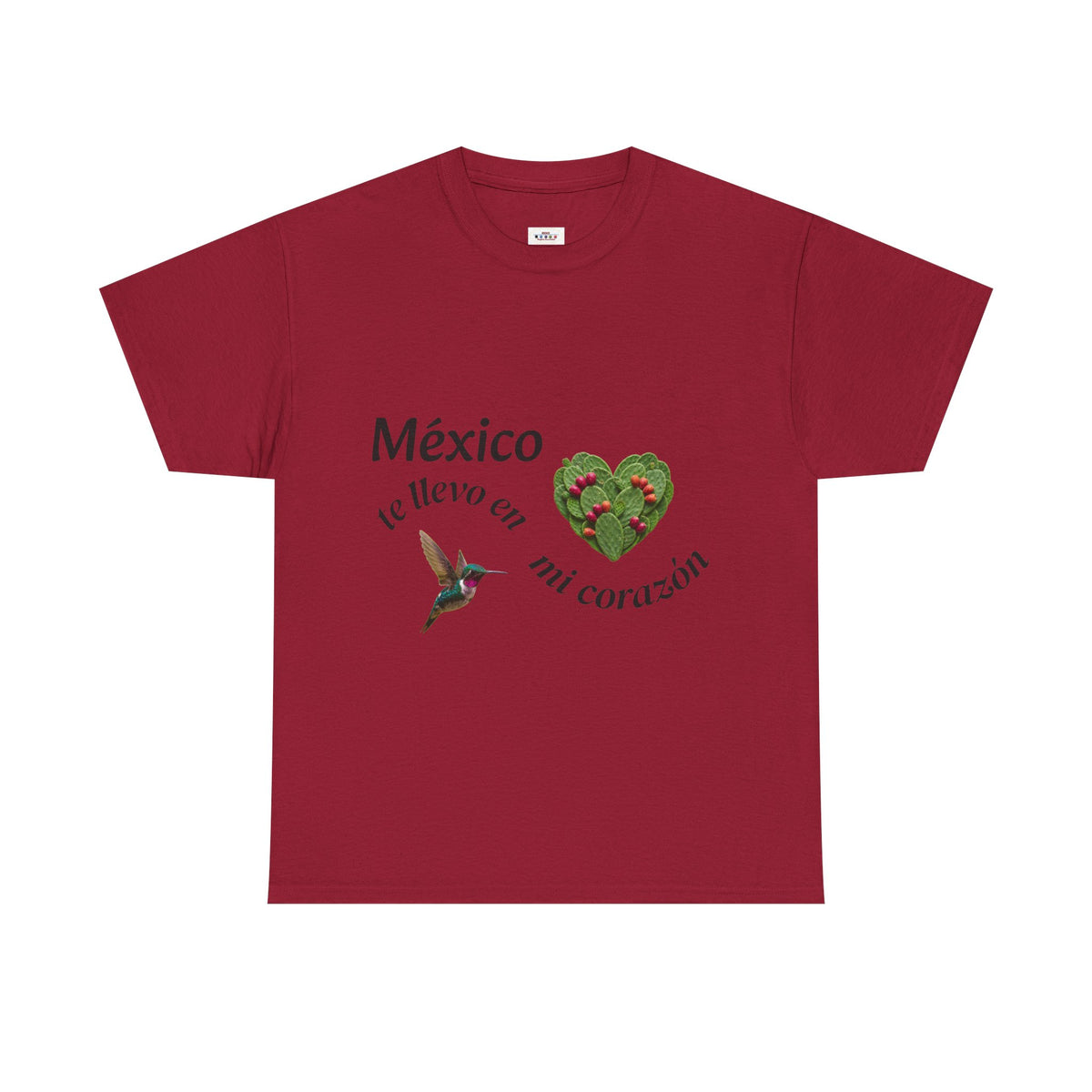 Mexico Te Llevo En Mi Corazón T-Shirt