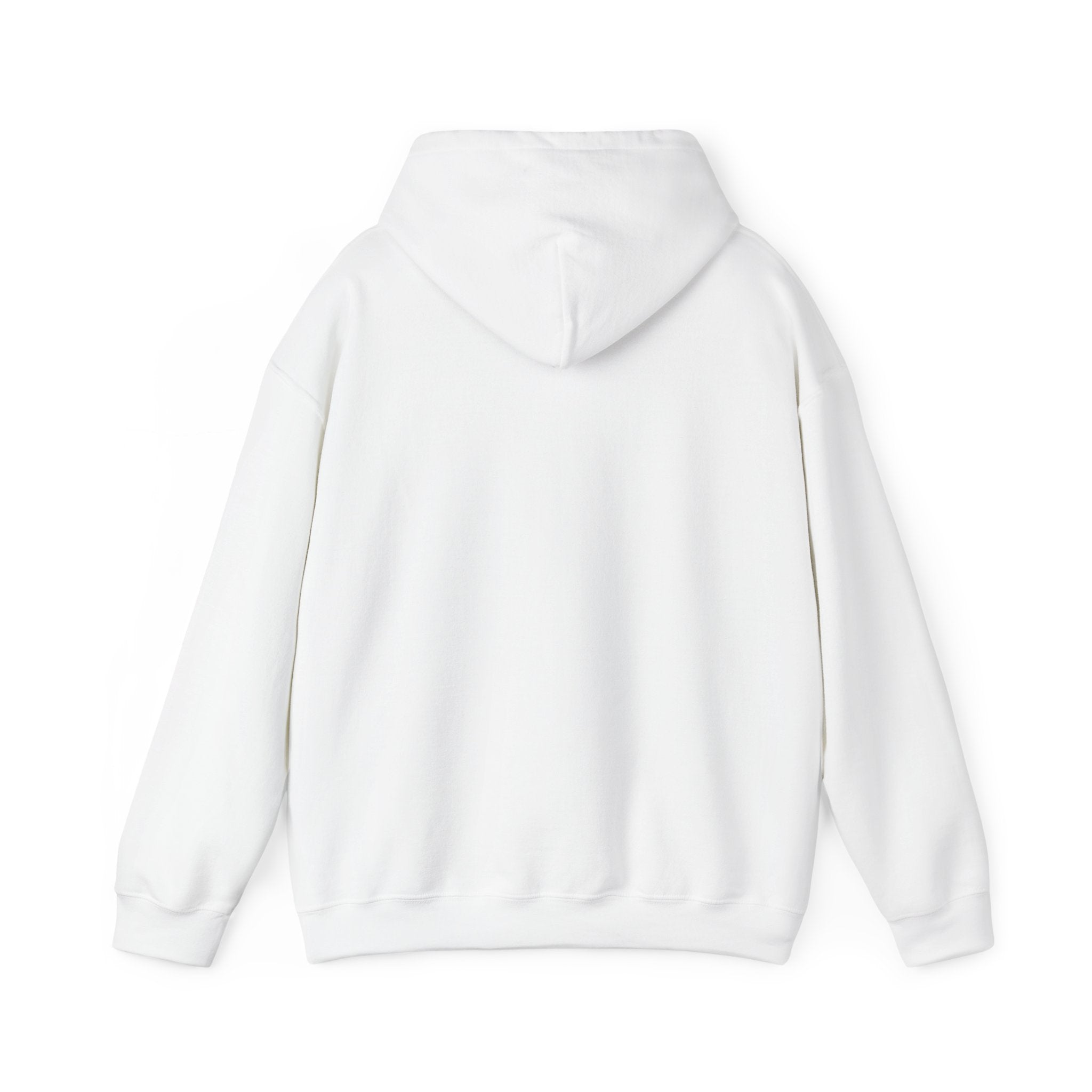 Minimal Snail Hoodie — Cute Tiny Snail Graphic Sweatshirt