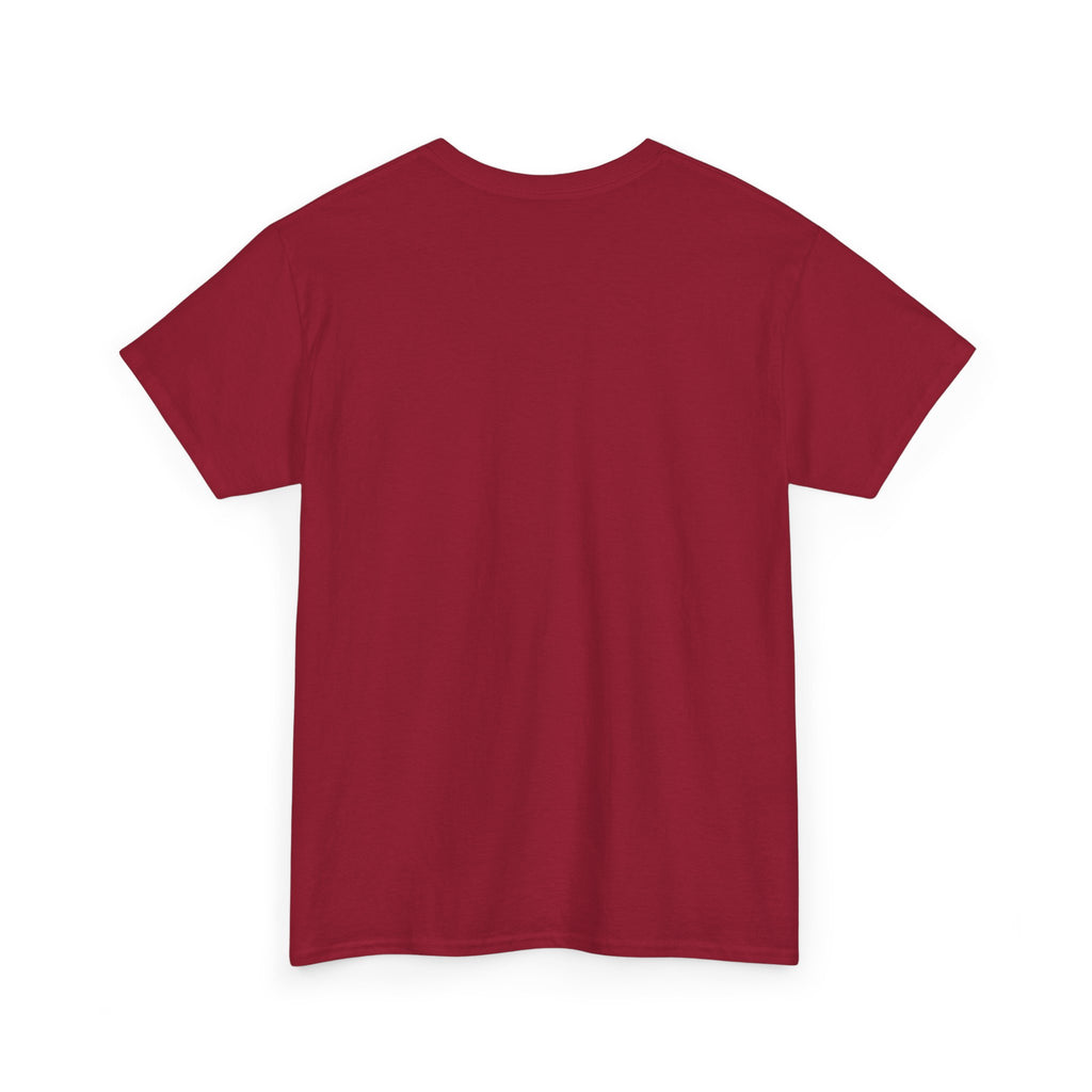Mexico Te Llevo En Mi Corazón T-Shirt