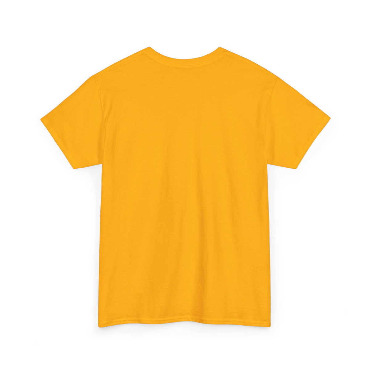 Mexico Te Llevo En Mi Corazón T-Shirt