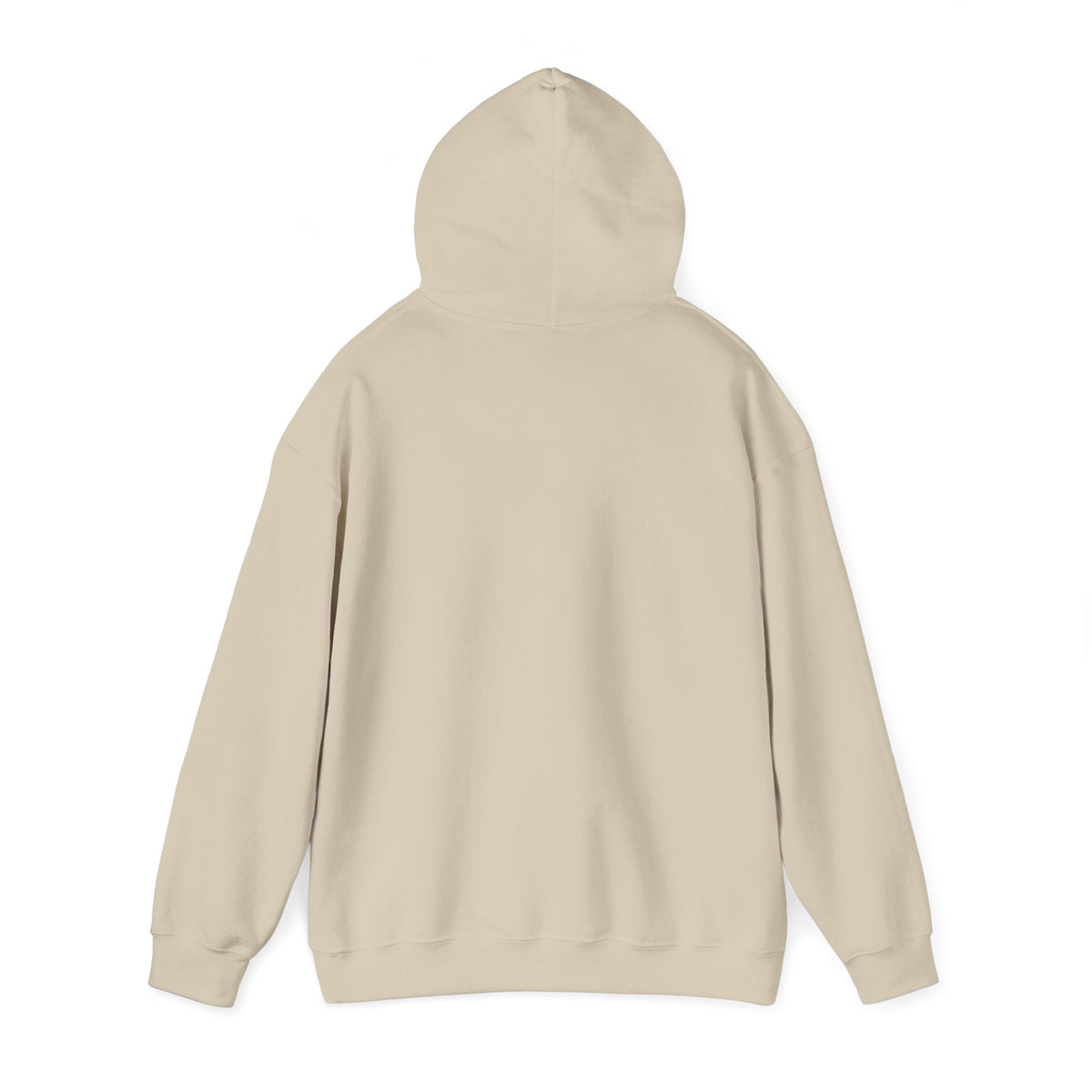 Minimal Snail Hoodie — Cute Tiny Snail Graphic Sweatshirt